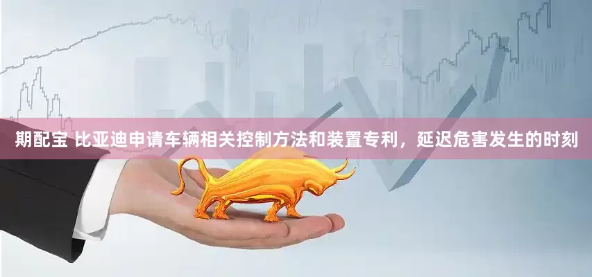 期配宝 比亚迪申请车辆相关控制方法和装置专利，延迟危害发生的时刻